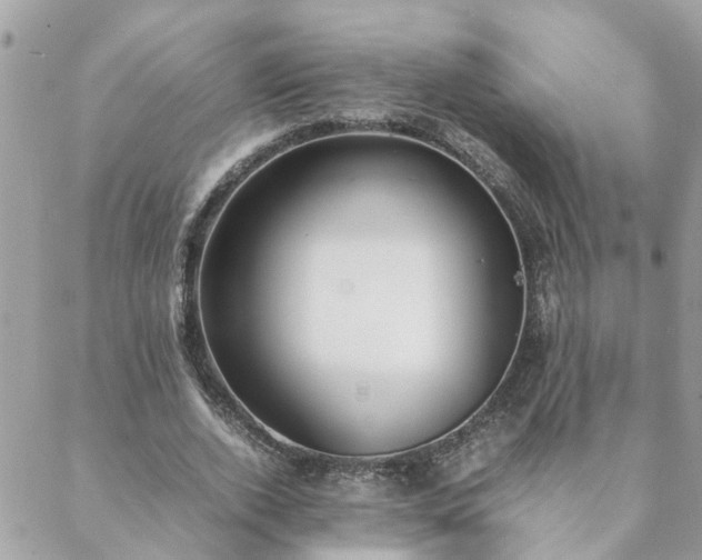 X0000088580728200706011112