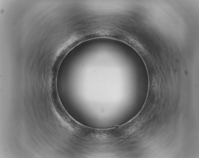 X0000088580730200706011112