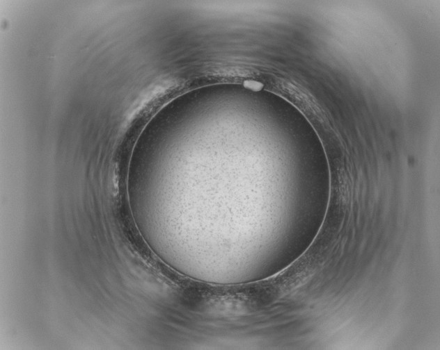 X0000088580731200706011112