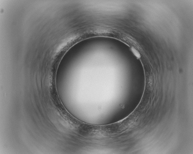 X0000088580732200706011112