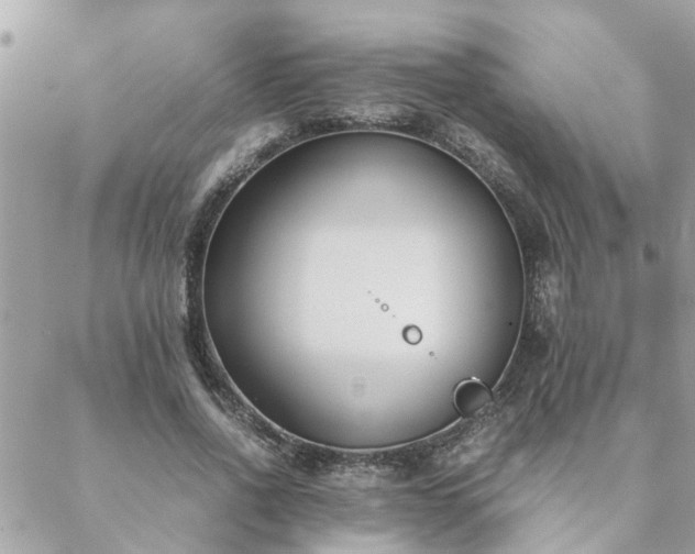 X0000088580734200706011112