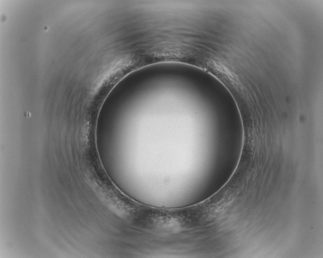 X0000088580735200706011112