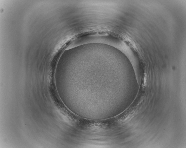 X0000088580736200706011112