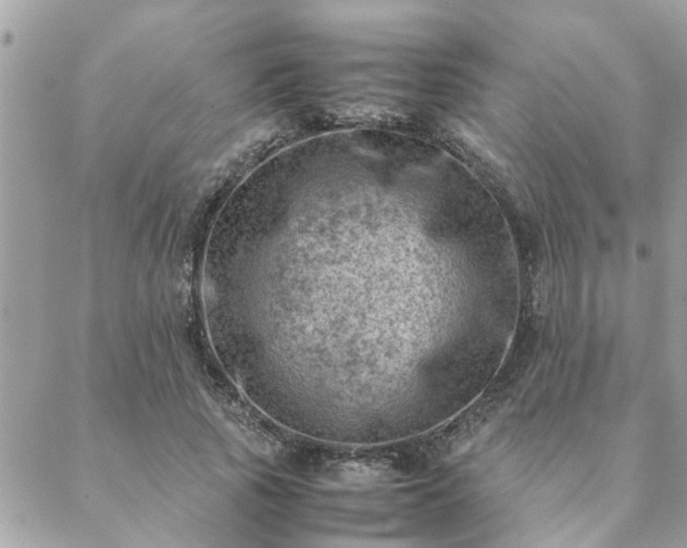 X0000088580737200706011112