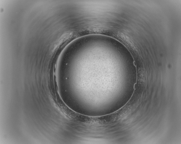 X0000088580738200706011112