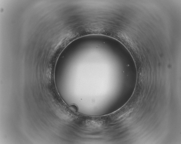 X0000088580739200706011112