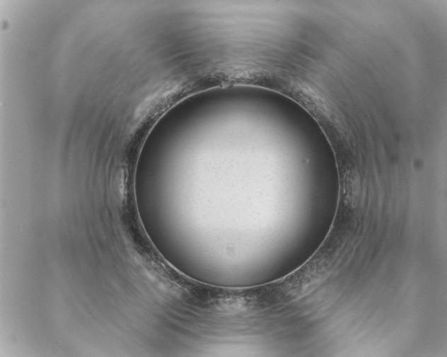 X0000088580740200706011112