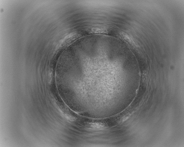 X0000088580741200706011112