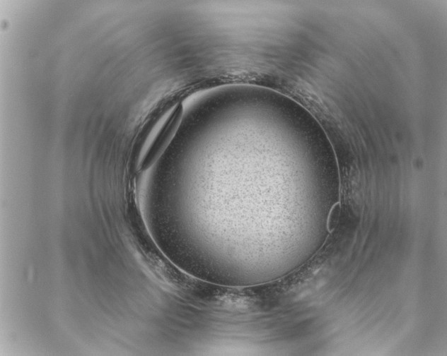 X0000088580742200706011112