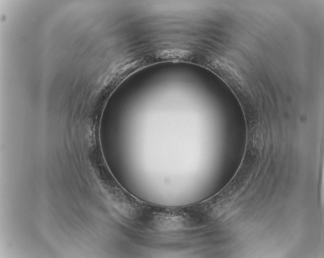 X0000088580743200706011112