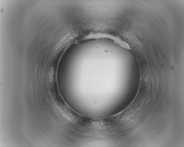 X0000088580744200706011112