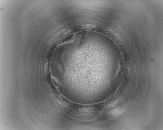 X0000088580745200706011112