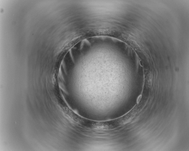 X0000088580746200706011112