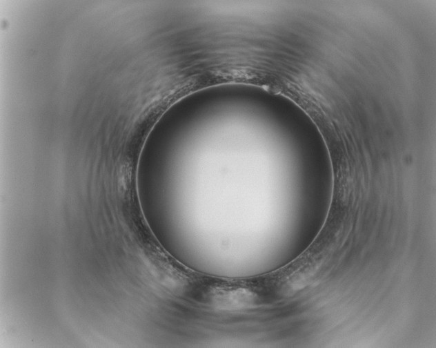 X0000088580747200706011112