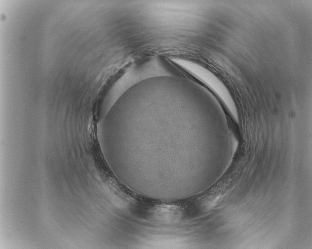 X0000088580748200706011112