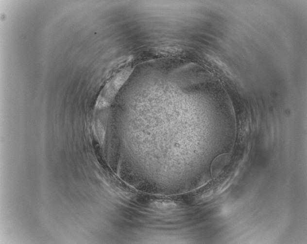 X0000088580749200706011112