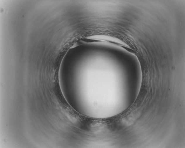 X0000088580750200706011112