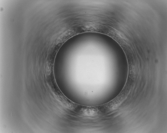 X0000088580751200706011112