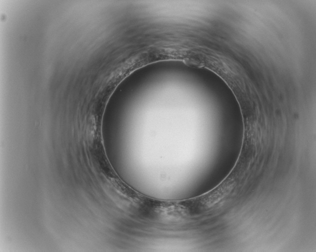 X0000088580752200706011112