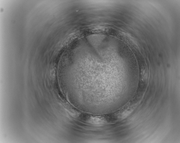 X0000088580753200706011112