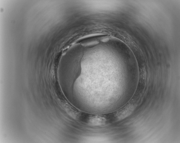 X0000088580754200706011112