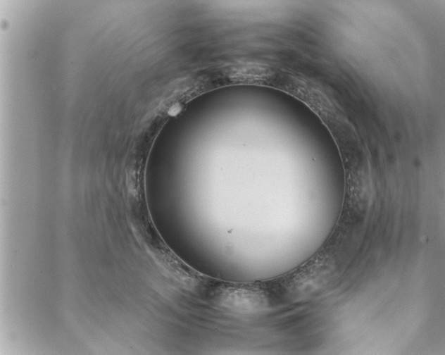 X0000088580755200706011112