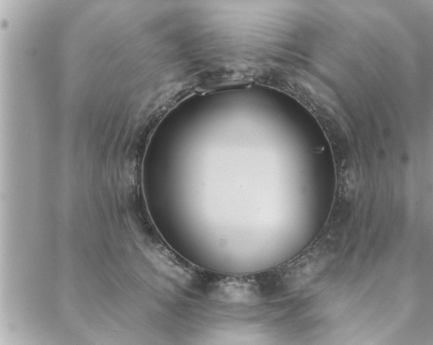 X0000088580756200706011112