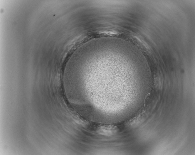 X0000088580757200706011112