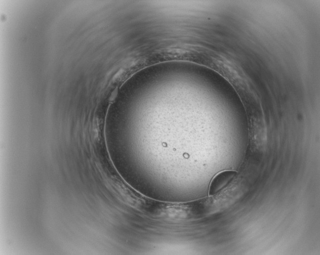 X0000088580758200706011112