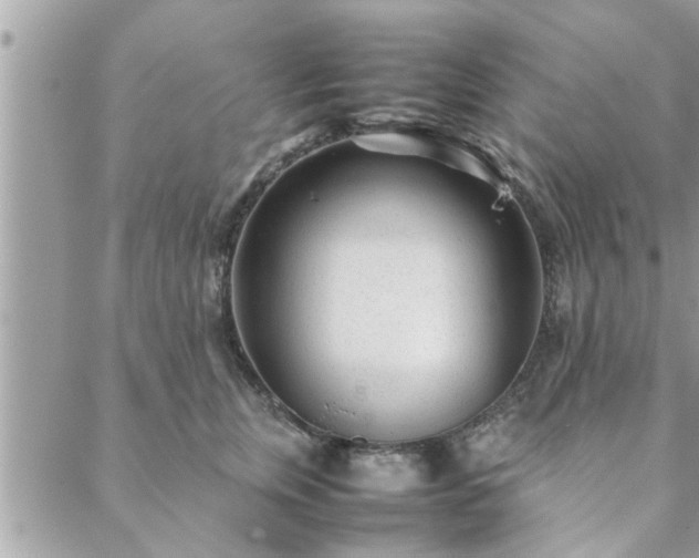 X0000088580759200706011112