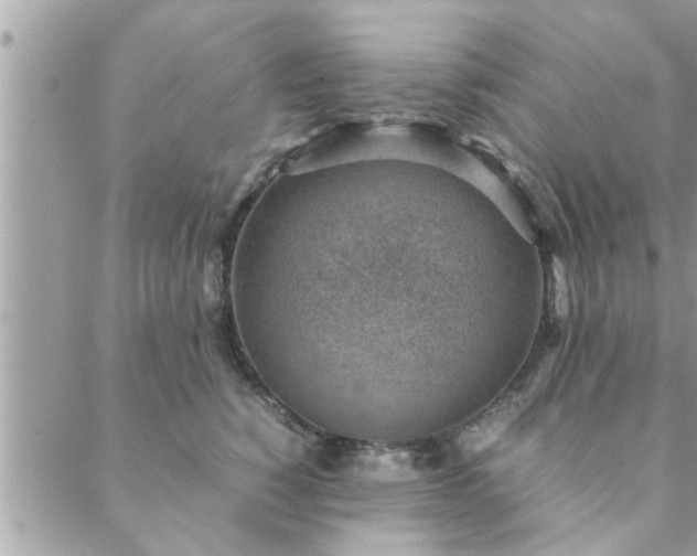 X0000088580760200706011112