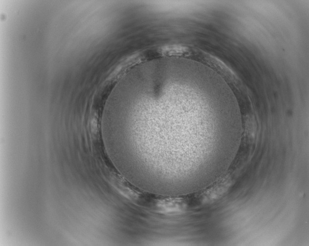 X0000088580761200706011112