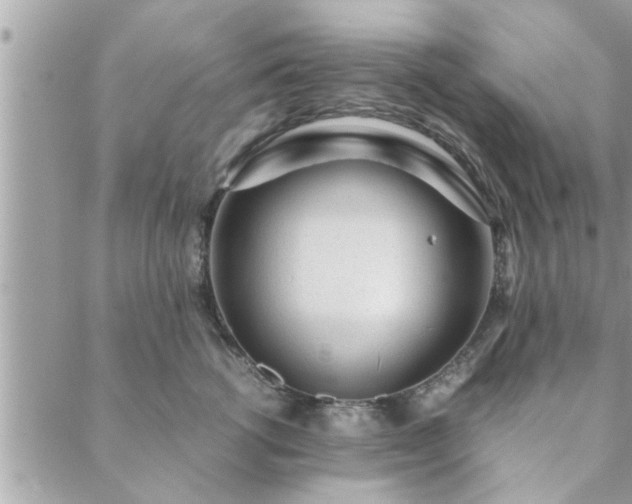 X0000088580762200706011112