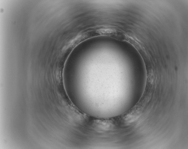 X0000088580763200706011112