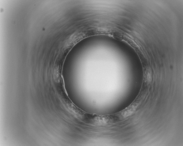 X0000088580764200706011112