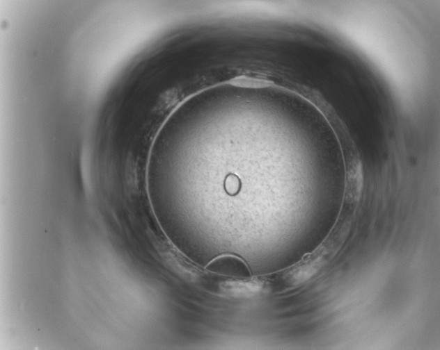 X0000088580765200706011112