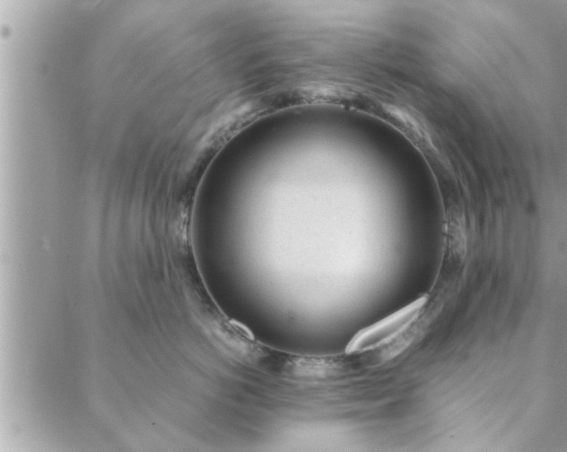 X0000088580766200706011112