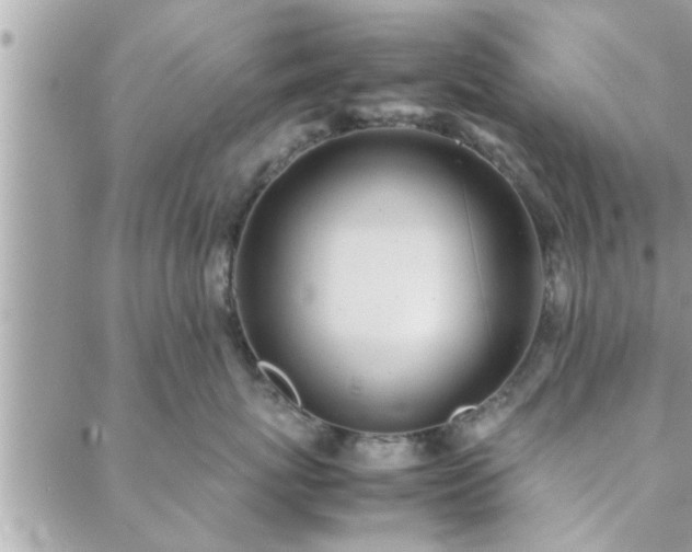 X0000088580767200706011112