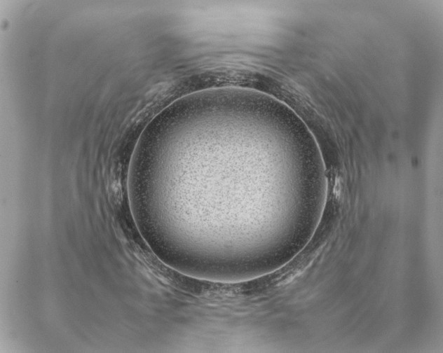 X0000088580771200706011112