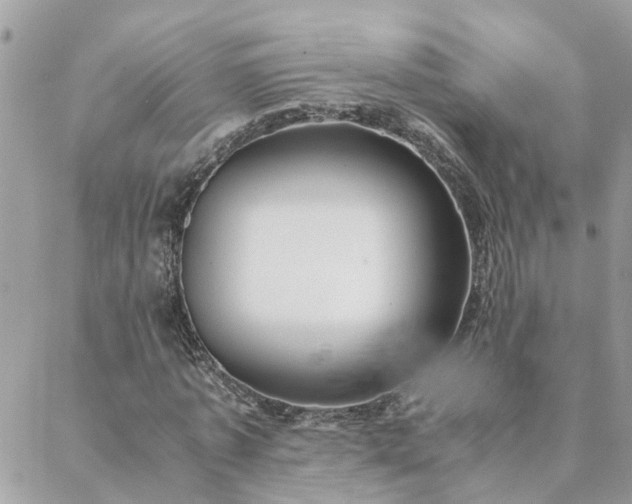 X0000088580773200706011112