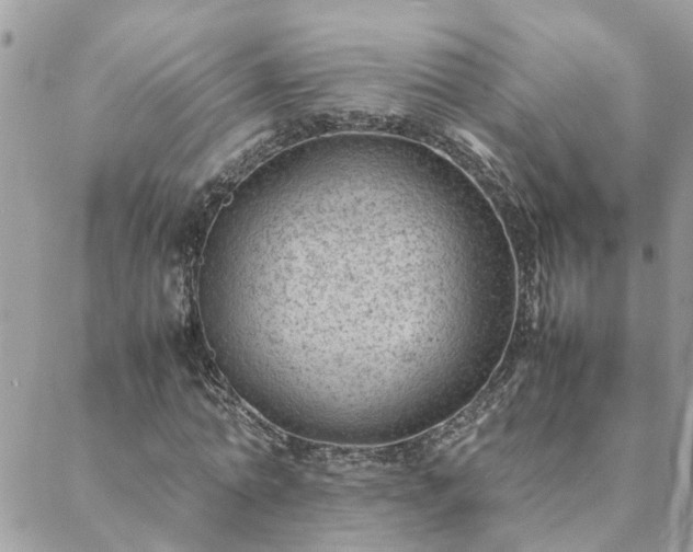 X0000088580774200706011112