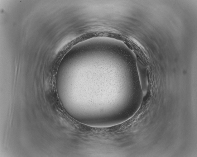 X0000088580775200706011112