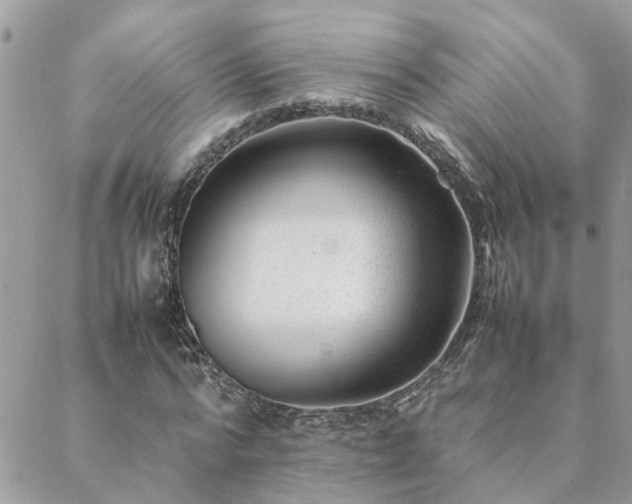 X0000088580776200706011112