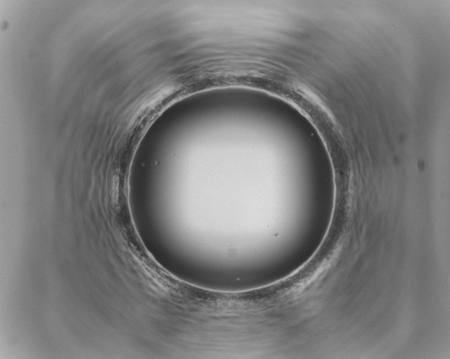 X0000088580777200706011112