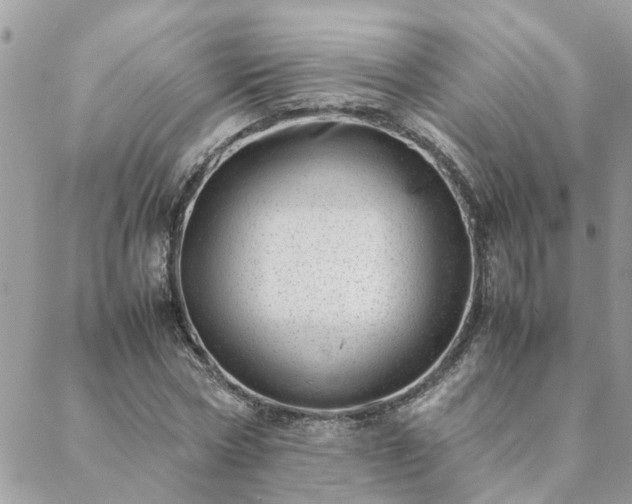 X0000088580778200706011112