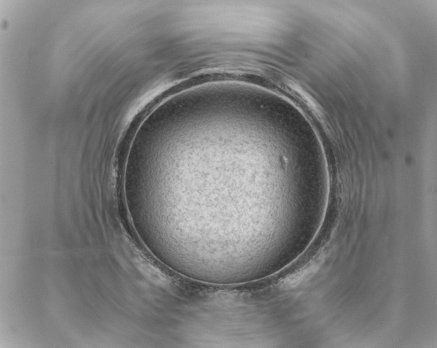 X0000088580779200706011112