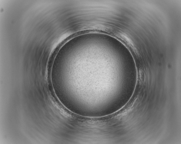 X0000088580780200706011112