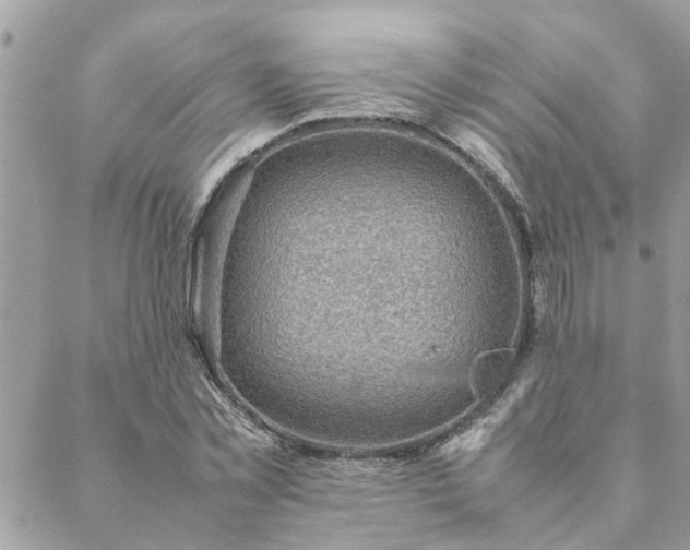 X0000088580781200706011112