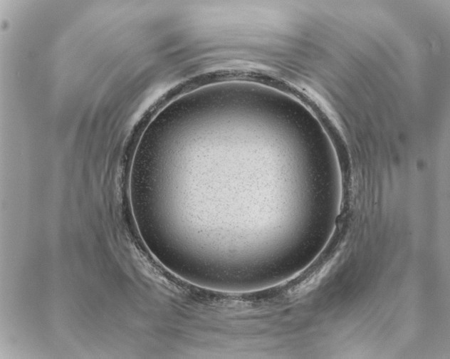 X0000088580783200706011111