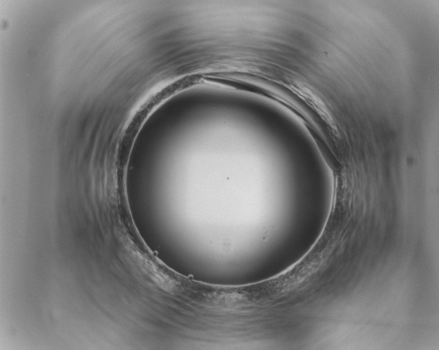 X0000088580784200706011111